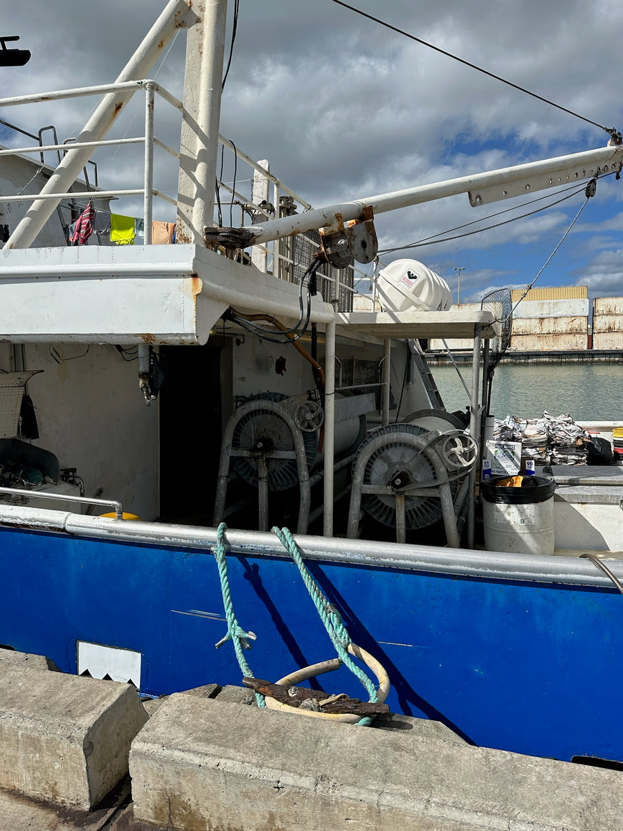 Longline Fishing Systems: Precision and Performance by Lindgren-Pitman
